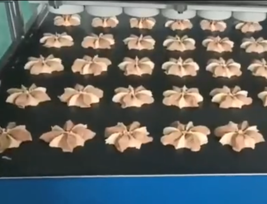 曲奇餅生產(chǎn)設備
